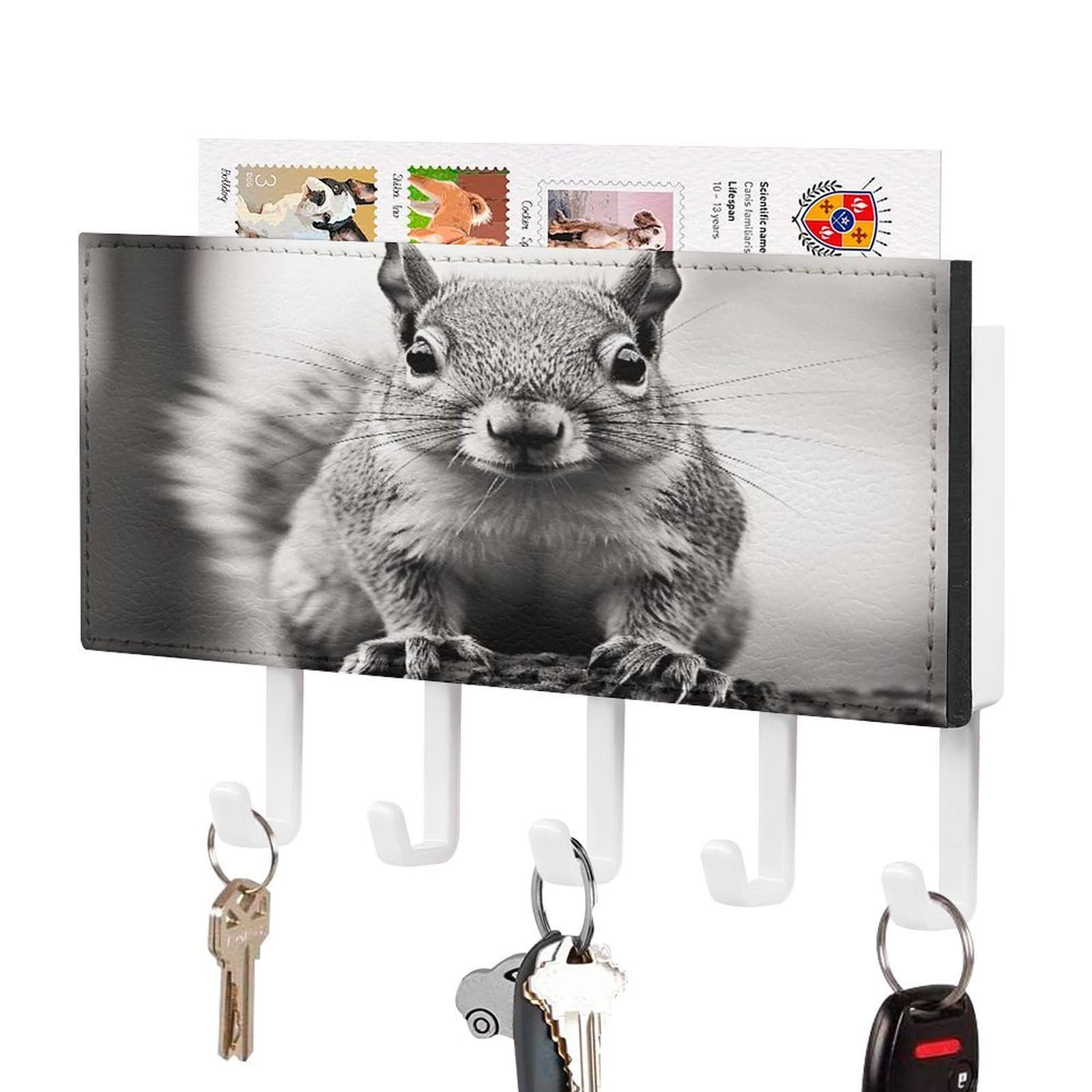 VstaDank Light Gray Squirrel Key Holder for Wall Decorative Mail Organizer Wall Mount with 5 Hooks Easy Installation Key Rack PU Adhesive Keys Rack for Entryway Door Bathroom Kitchen
