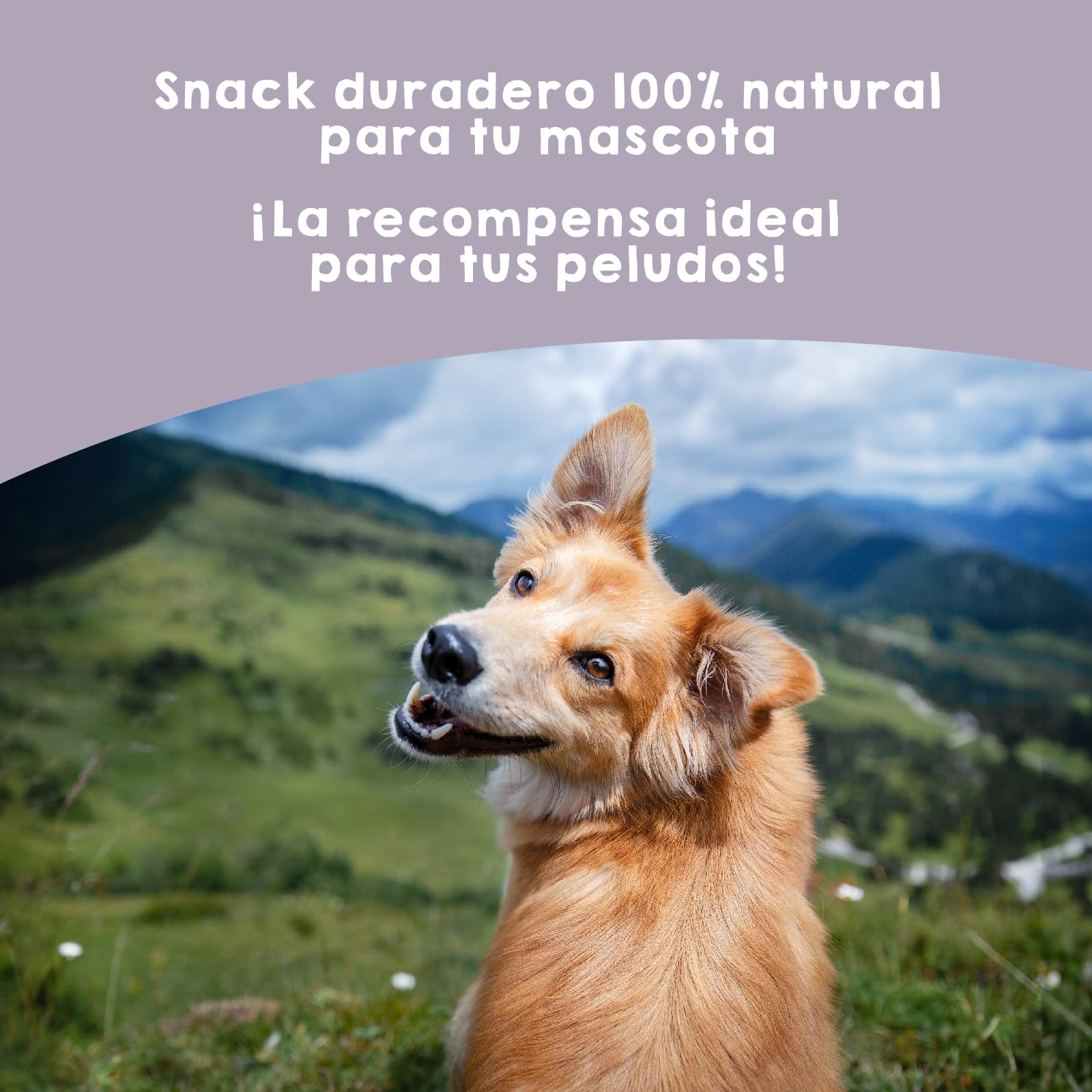 MAIKAI Chuches Naturales para Perros Nervio de Toro 10 uds Snack Barf Saludable Bajo en Grasa Mordedor Natural Premios Masticables 100% Naturales - Regalo Perros Fabricados en España