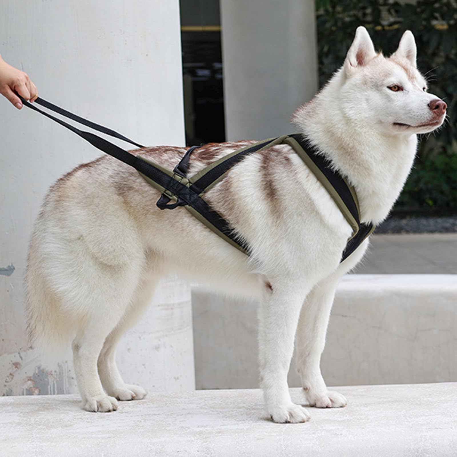 Chalecos reflectantes para perros, chalecos de entrenamiento para perros, equipos para perros y gatos, arneses para paseos nocturnos