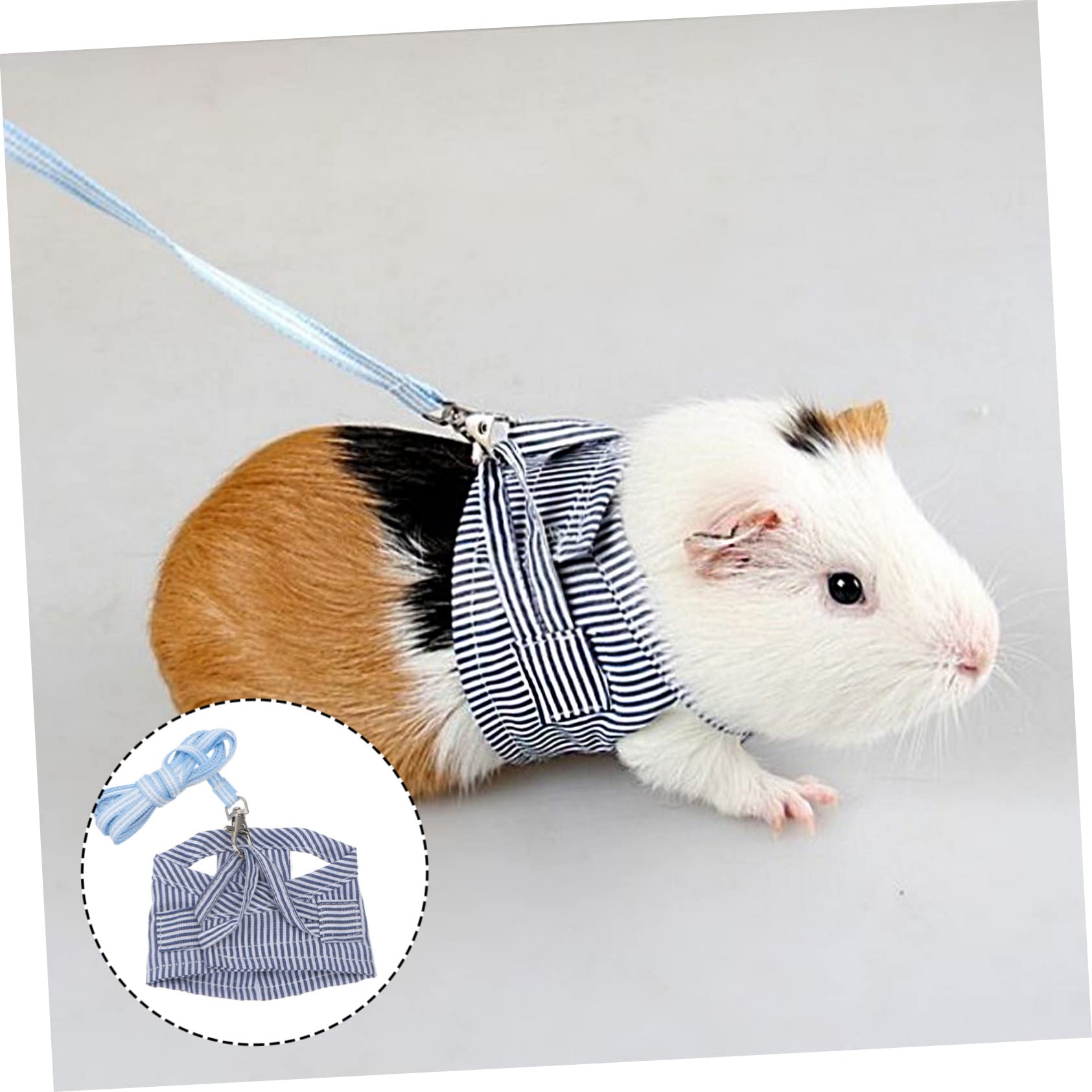 BESPORTBLE 3 Pz accessori per porcellini d'India cinghie per animali domestici guinzaglio di cavia guinzaglio per criceti regolabile pettorina e per animali domestici