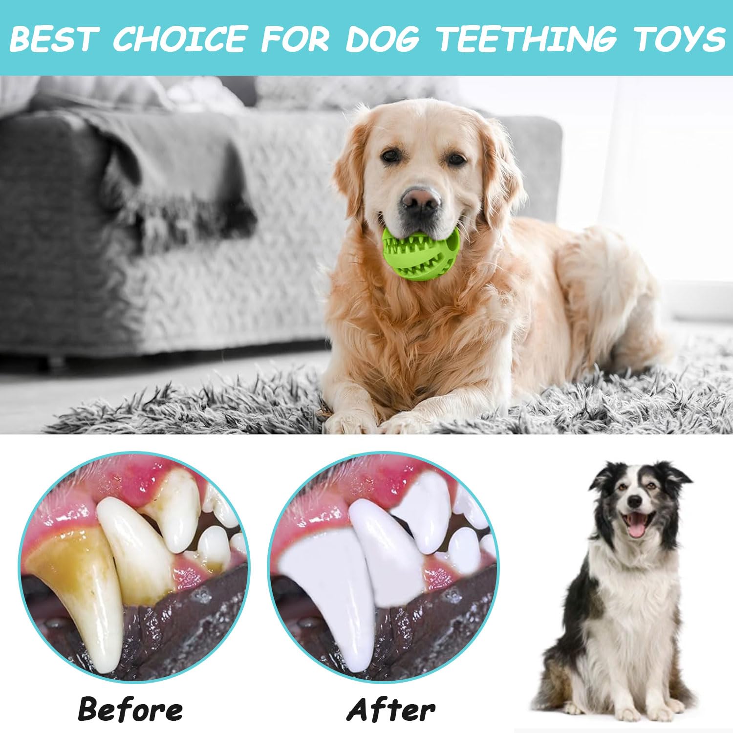 SHENGRUI Dog Treat Ball Dispenser Tooth Cleaning Interactive Toy Enrichment & Mental Stimulation for Boredom for Small and Medium Dogs of all Breeds (Blue+Green) - Image 3