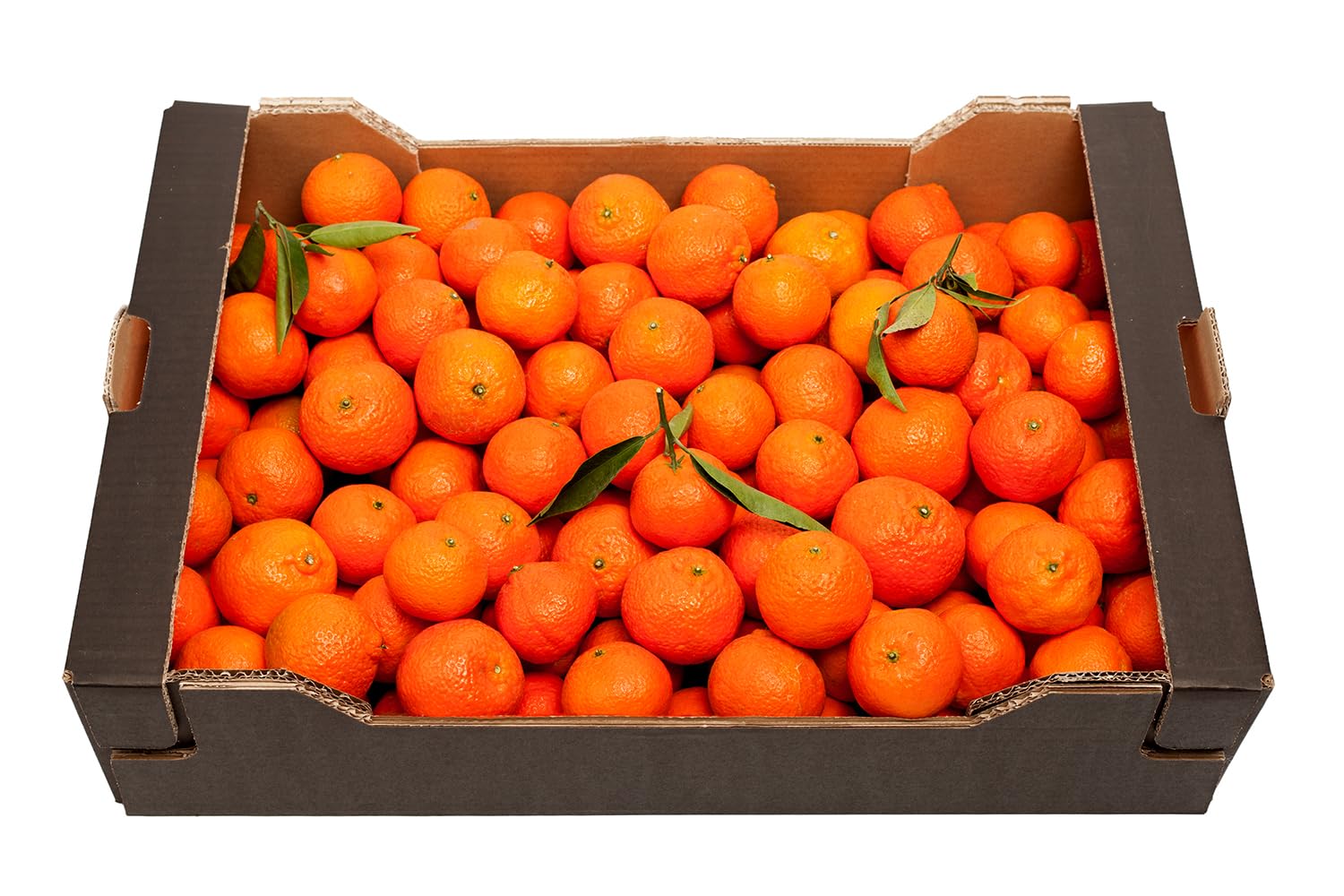 MANDARINAS DE VALENCIA RECIEN RECOLECTADAS (15KG)