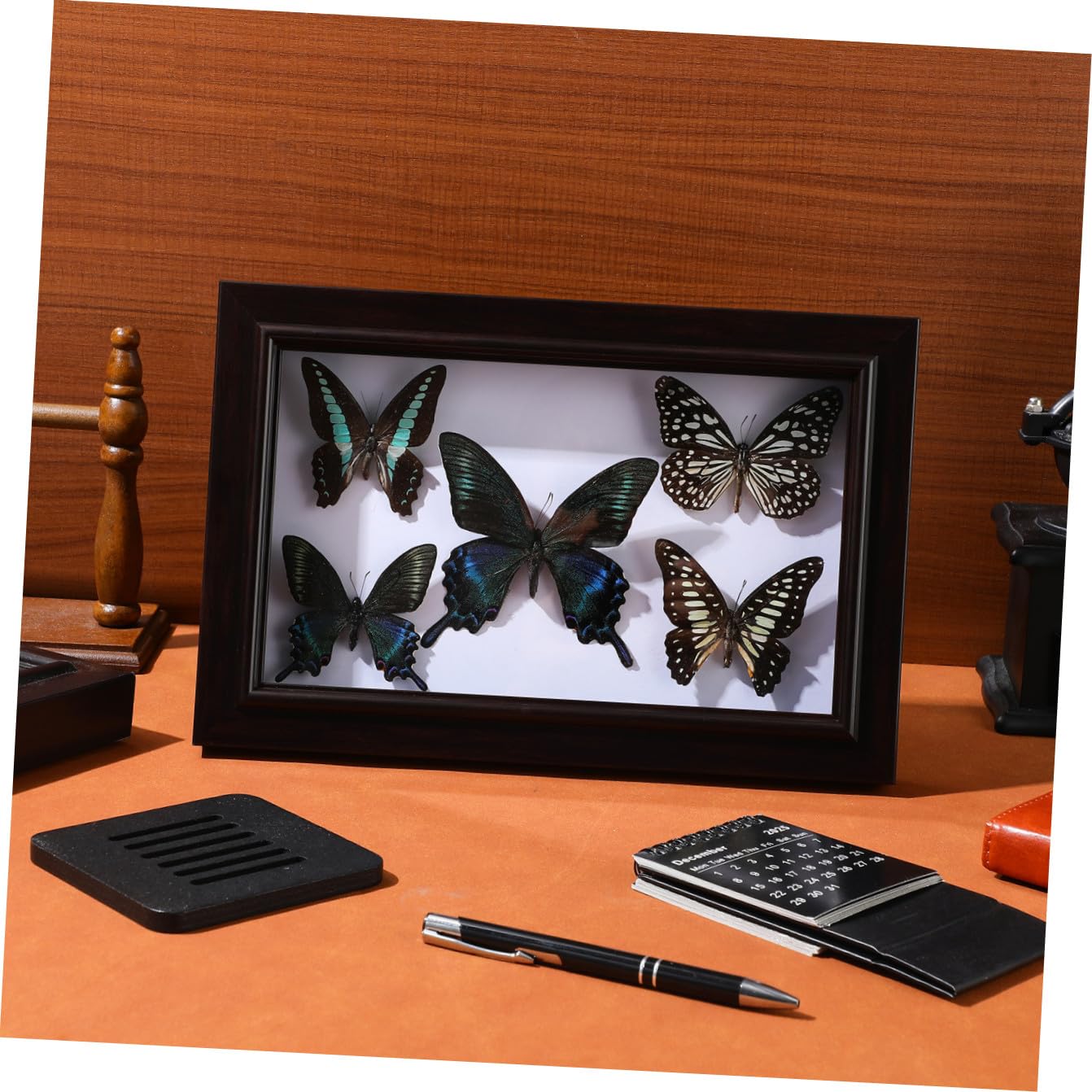 CHILDWEET Marco de Exhibición de Mariposas Diseño Artesanal, Madera Resistente y Tapa Transparente para Decoración de Hogar
