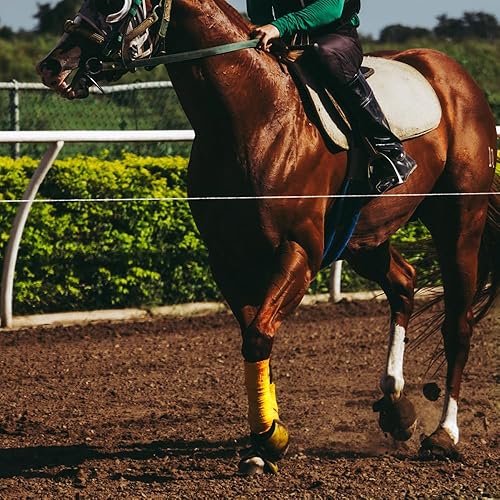 Vista 36 de Envolturas de polo para caballo, 8.2 ft, forro polar suave, vendaje ecuestre, paquete de 4 unidades (negro, 8.2 ft)