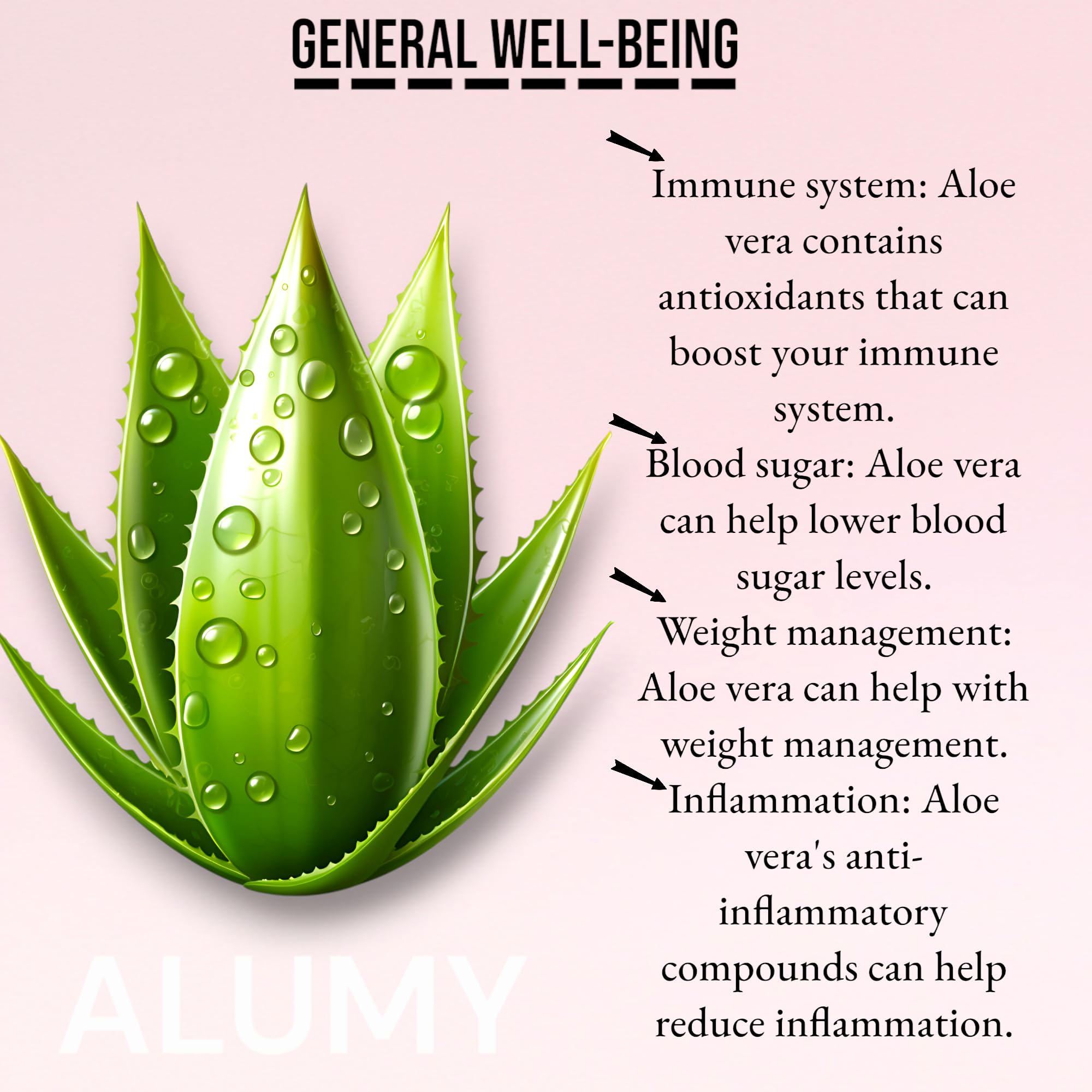Wealthy Aloe Vera Leaf  Fresh, Organic Green Aloevera Leaf for Natural  Wellness, Healing, Skincare, Haircare &