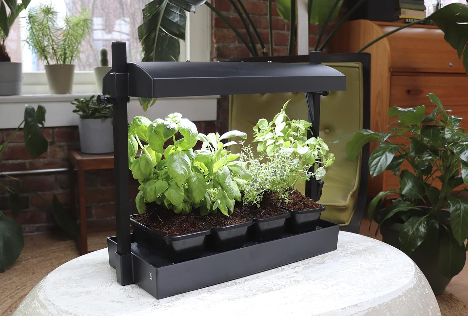 SunBlaster SL1600198 T5HO Micro T5 Grow Light Garden w/Reflector & 4 Seedling Trays for Flower, Herbs, and Veggie Seed Starting or Plant Propagation