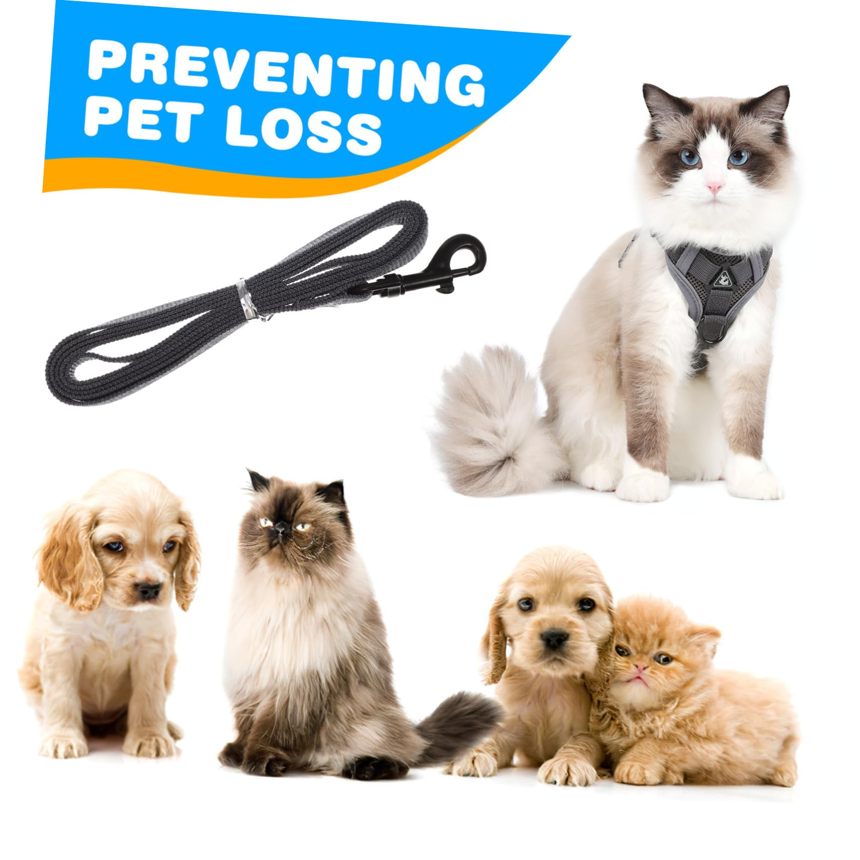 BESPORTBLE 5piezas Arnés para Perros Pequeños y Gatos Arnés Reflectante y Transpirable Correa Diseño y Cómodo para Paseos Al Aire