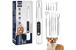 Revolutionary Dog Plaque Remover: The Ultimate Solution to Doggy Dental Hygiene
