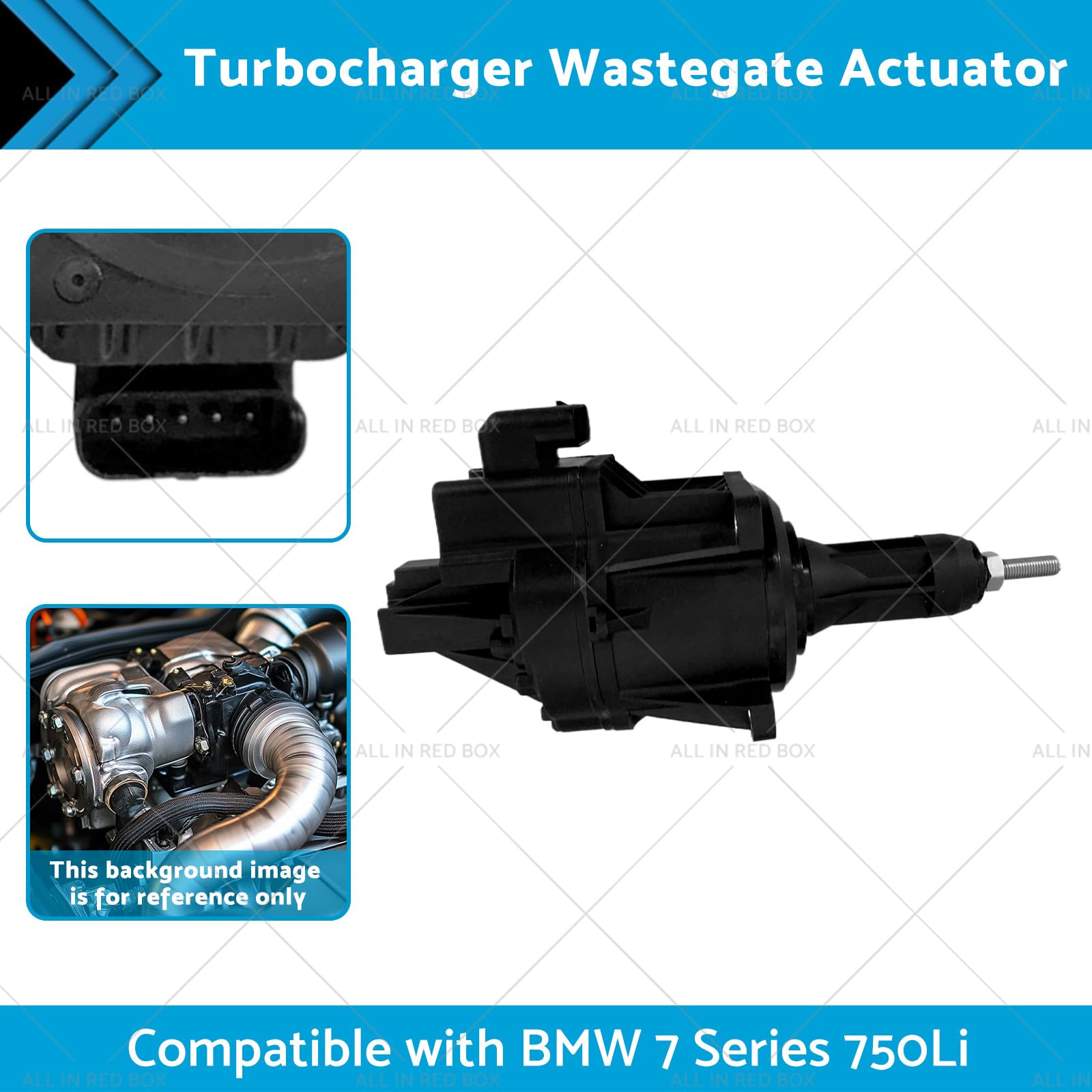 r−セレクト Epigenetic DNA Methylation and Protein Homocysteinylation
