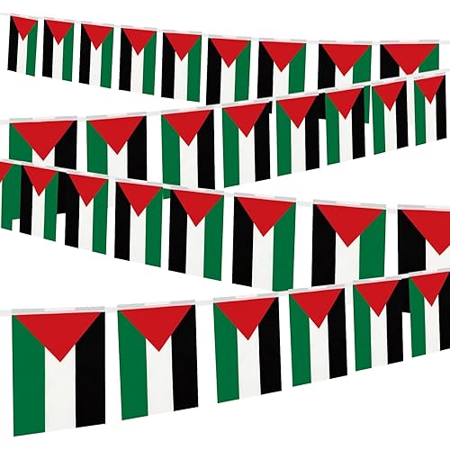 32.8 ft Palestinian Pennant Flags Banner, 30 Pcs Mini Palestine String Flags, Red White Green Black Bunting for National Day, Cultural Festivals, Parades, Home, Garden, and Party Decorations