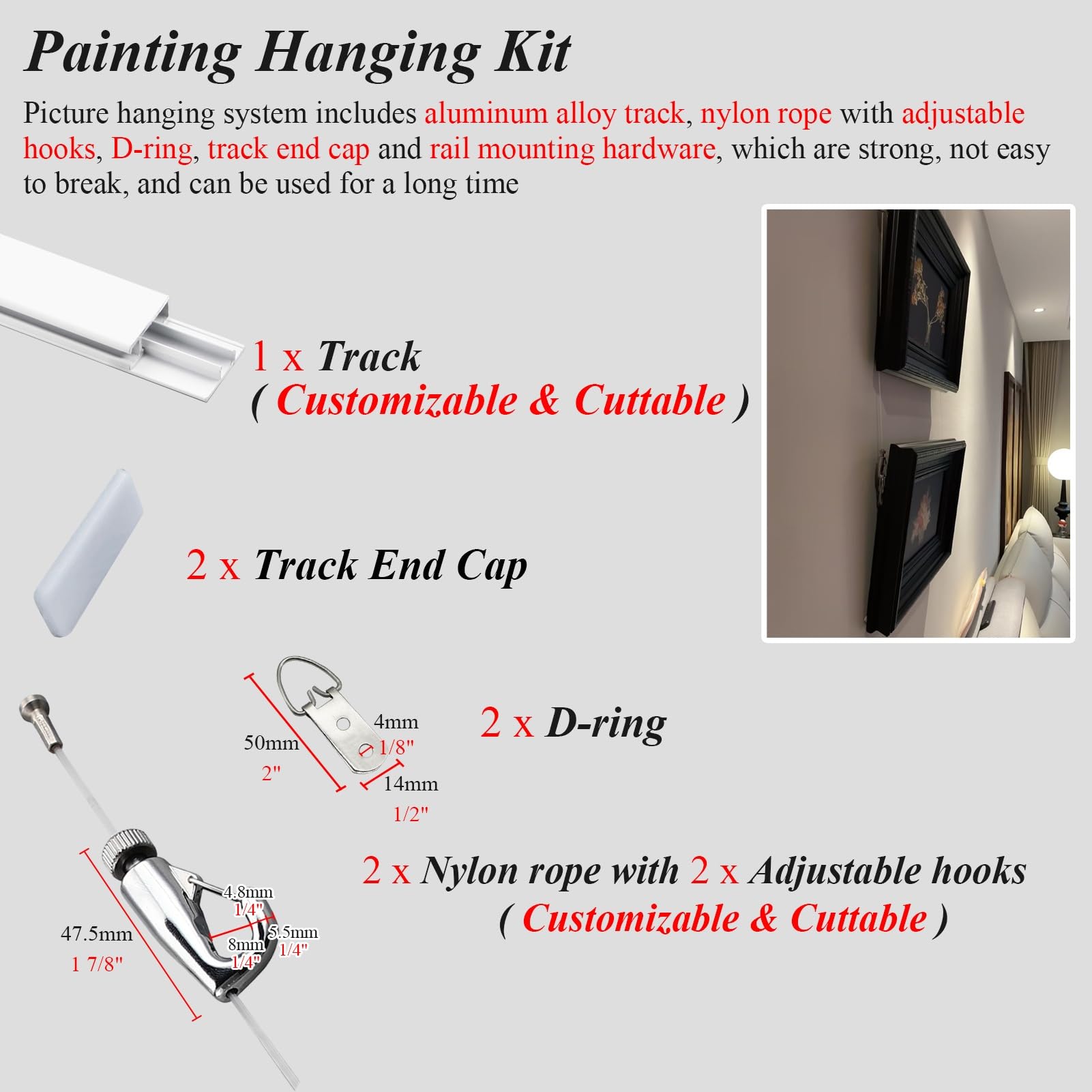 Système de suspension pour tableaux et plantes en pot, kit mural complet avec cordons en nylon transparents multifonctionnels et crochet réglable, décoration de salon (câble de 1,5 m, longueur de 12