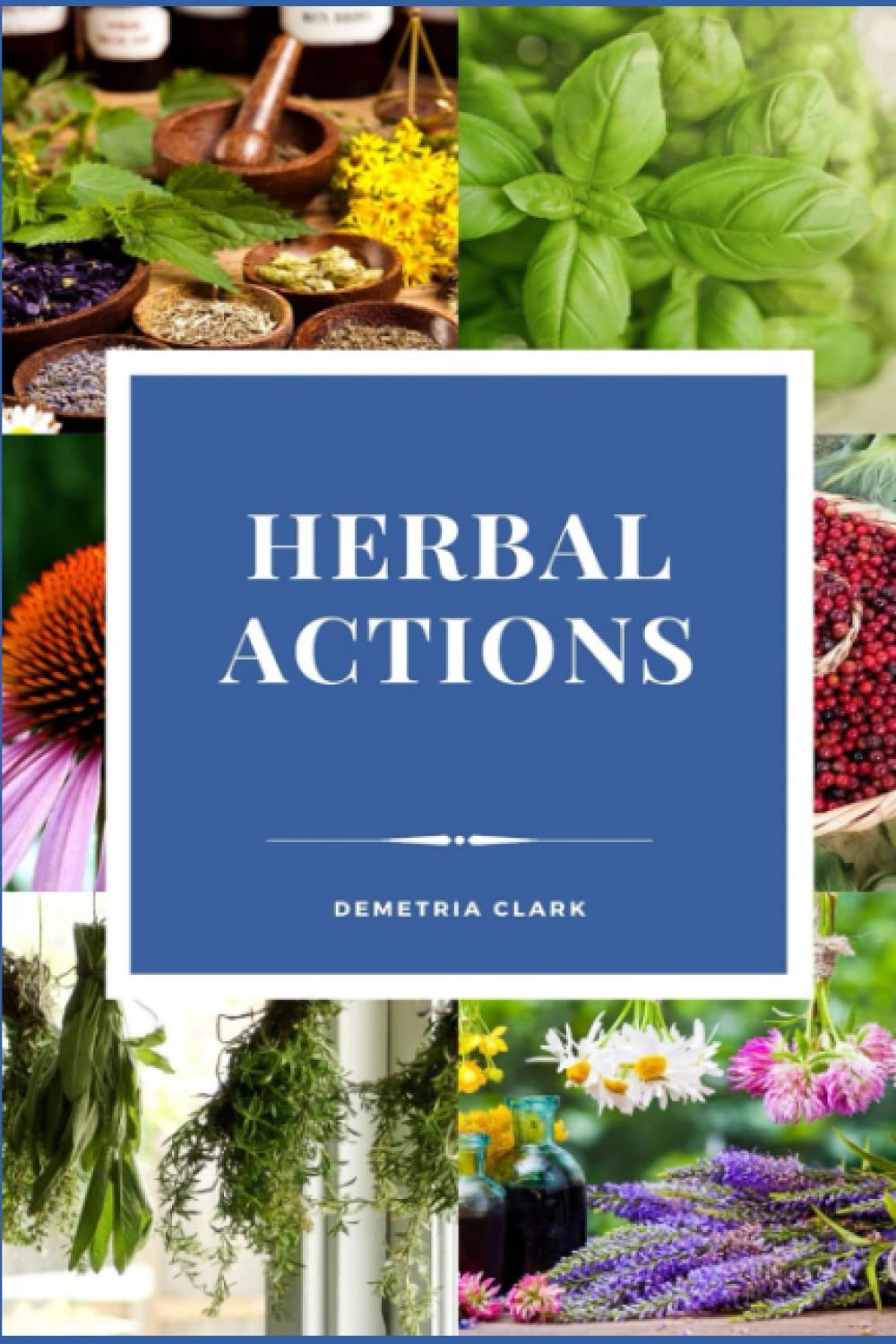 Herbal Actions: Heart of Herbs Herbal School Herbal Guides (Volume 2) (Heart of Herbs Herbal School Guides)
