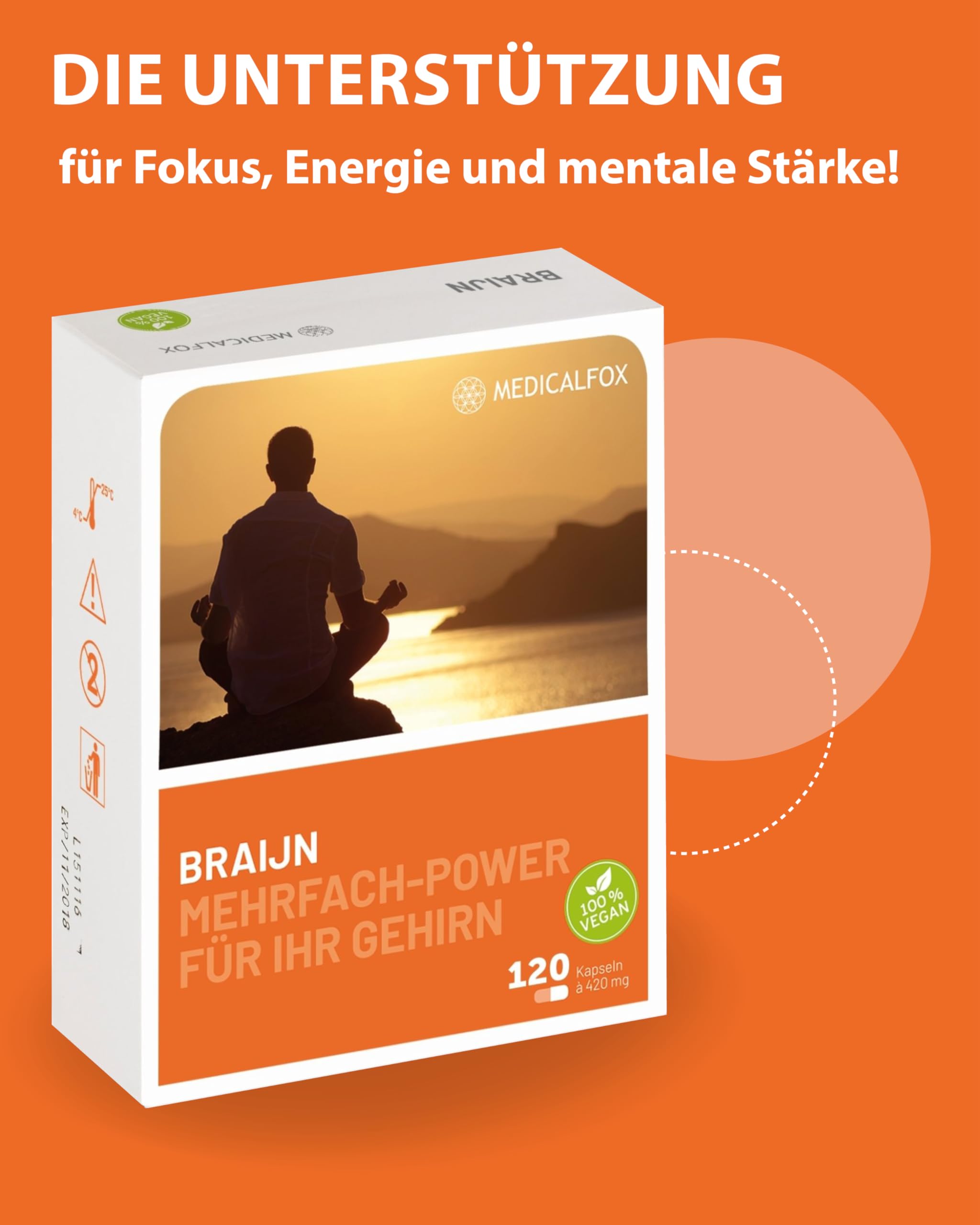 BRAIJN Konzentrations- & Gehirn Kapseln für Männer 120 Stk. vegan - Mit Vitamin B5 Pantothensäure für normale geistige Leistung, Wirkstoff-Komplex aus Brahmi, Ginkgo, Gojibeere & Zink