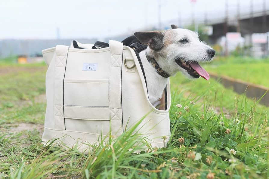 Amazon.co.jp: ENTRAMBI 犬 猫 キャリーバッグ ペットキャリー