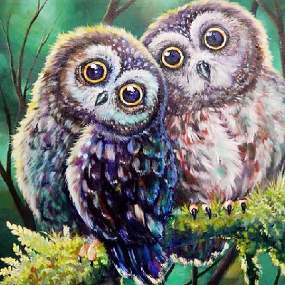 Peinture Diamant 5D Hibou pour Décoration Murale Salon Salon Kit Mosaïque 60x60