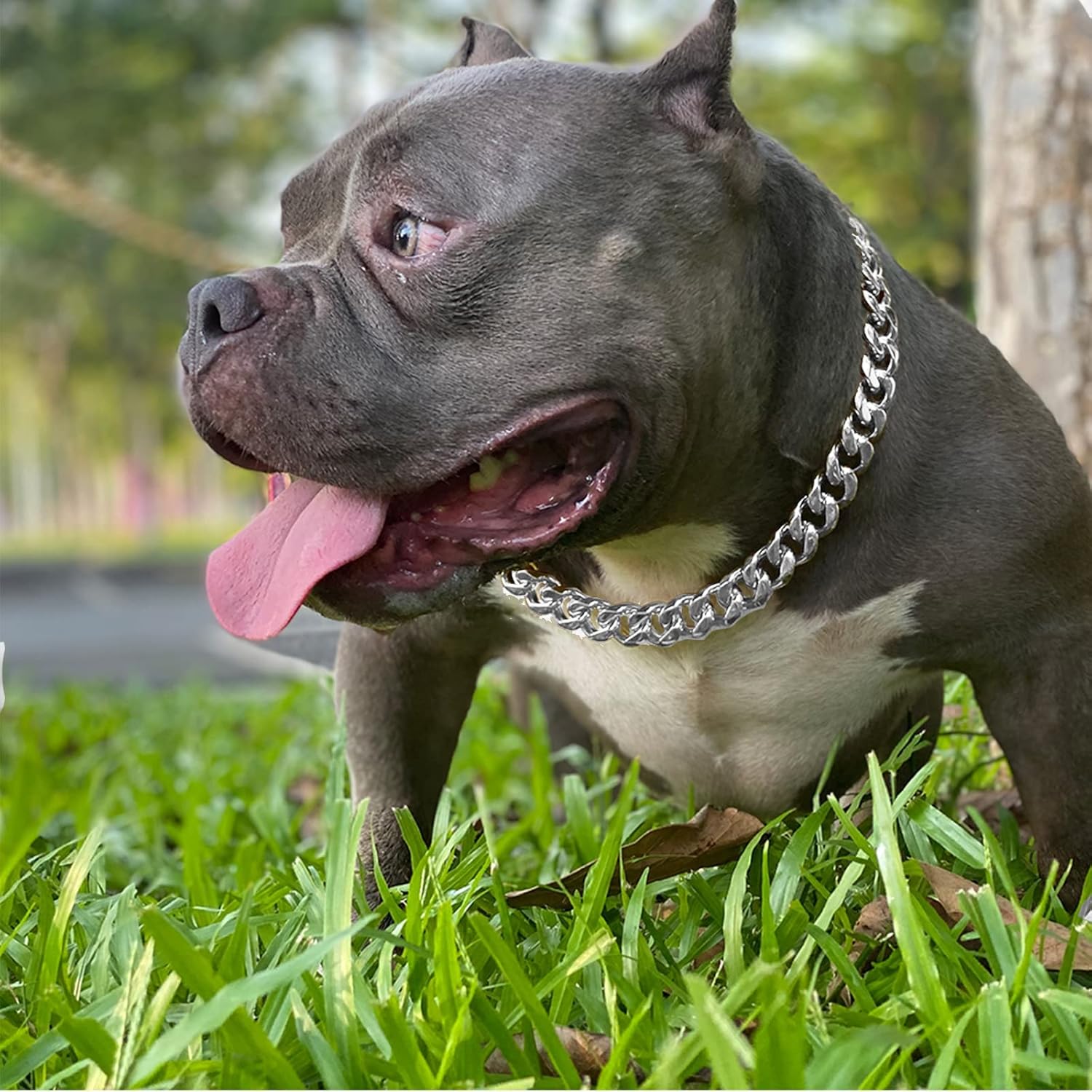 Silver Metal Dog Chain Collar with Design Secure Buckle & ID Tag,Pet Necklace,Strong Stainless Steel Cuban Link Chain,Chew Proof Indestructible Choke Walking Collar for Medium Dogs(19MM 14'')