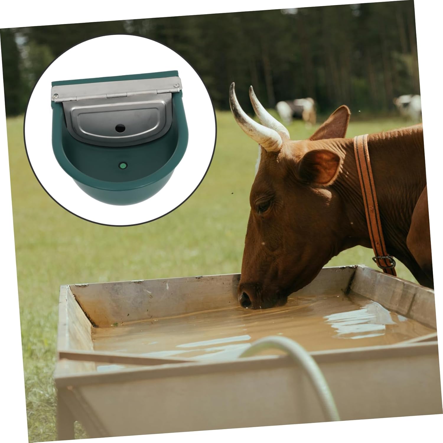 Toyvian Automatic Cattle Water Bowl Feeder for Livestock Outdoor Watering Trough Float Valve Convenient Drinking System for Cows Horses and Sheep