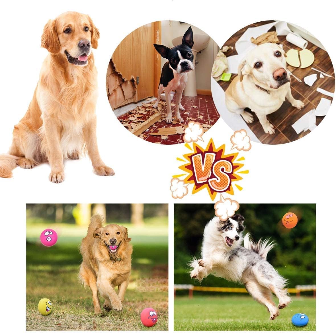 Pet Supplies : HOLYSTEED Latex Dog Squeaky Toys Rubber Soft Dog Toys Chewing Squeaky Toy Fetch Play Balls Toy for Puppy Small Medium Pets Dog 6pcs : 