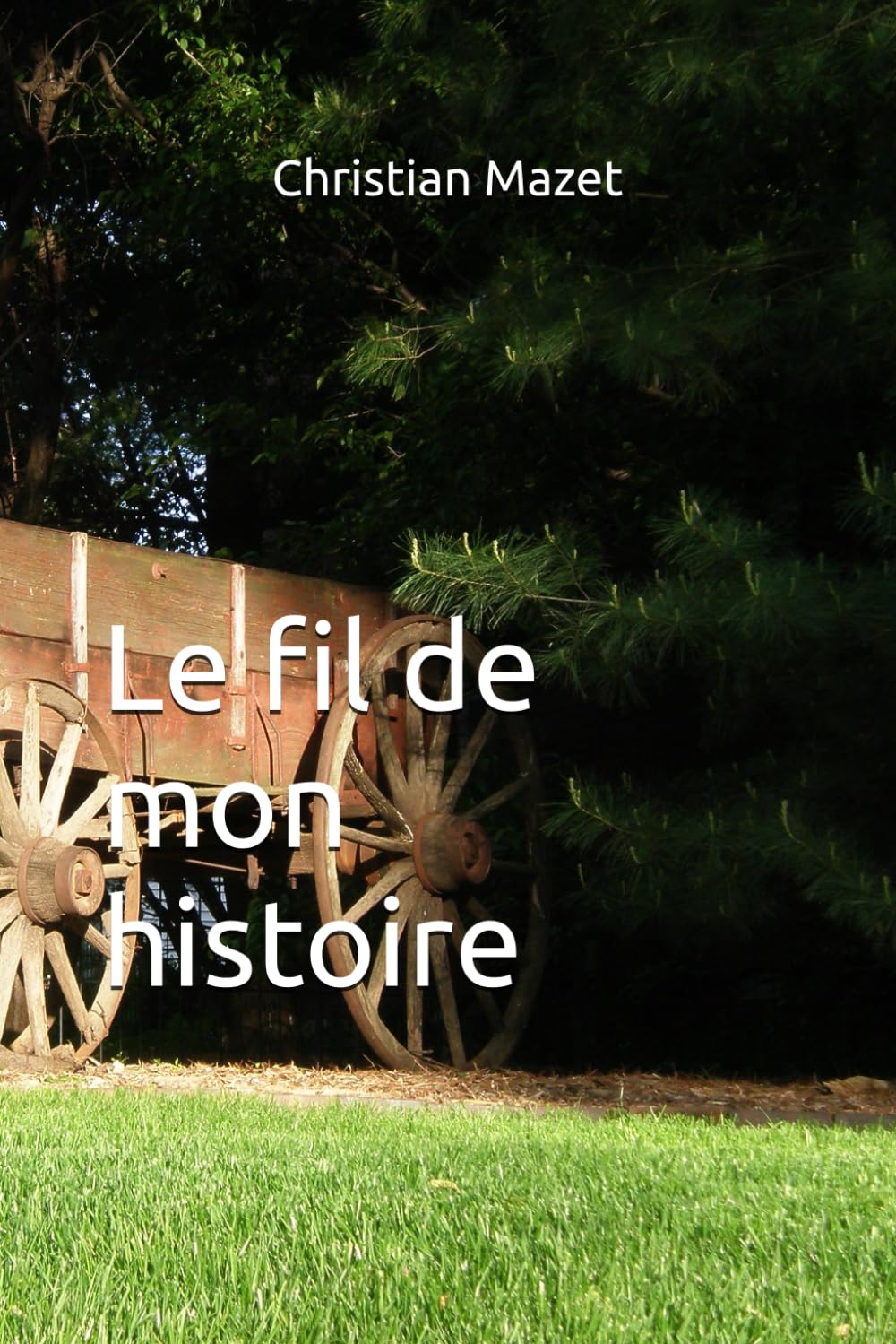 Le fil de mon histoire