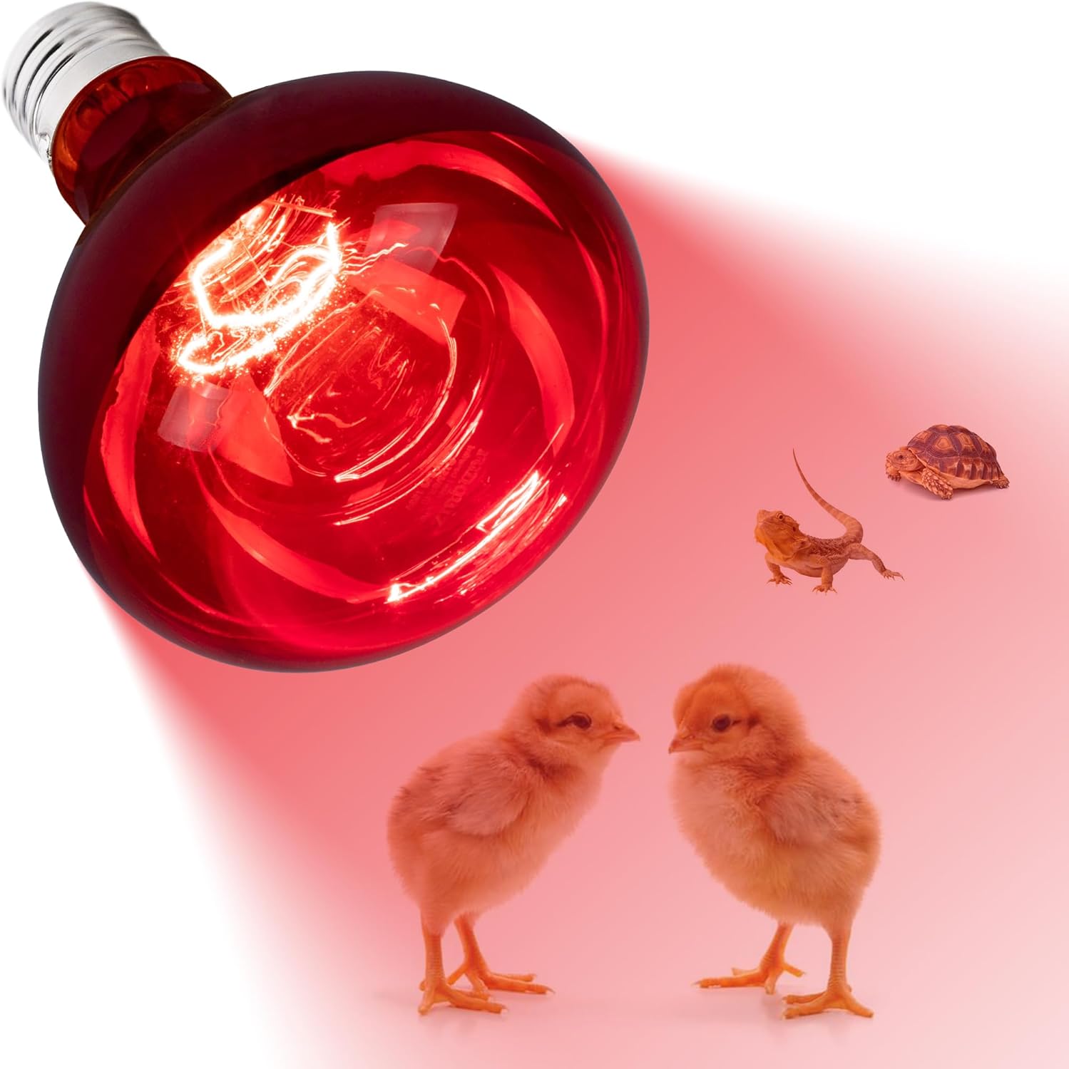 100W Incandescent Heat Lamp for Reptile Pet Coop, Egypt Ubuy