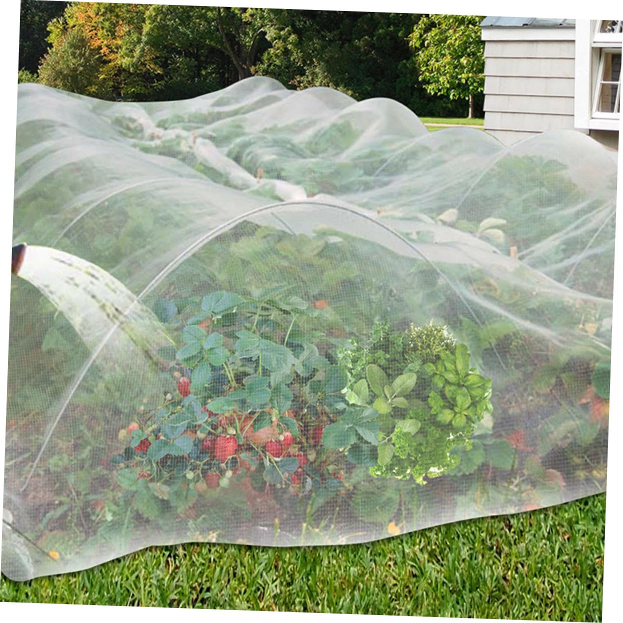 Abaodam Malla para Protección de Plantas Jardín Pájaros y Ardillas Jardín Sombreo Barrera Frutas Vegetales