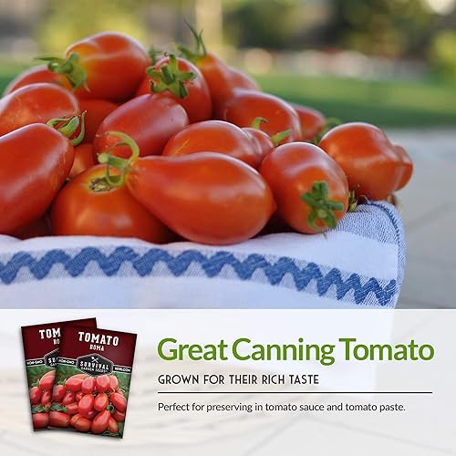 Miniatura 4 de Survival Garden Seeds - Semilla de tomate Roma para plantar - 2 paquetes con instrucciones para plantar y cultivar tomates romaníes italianos en tu