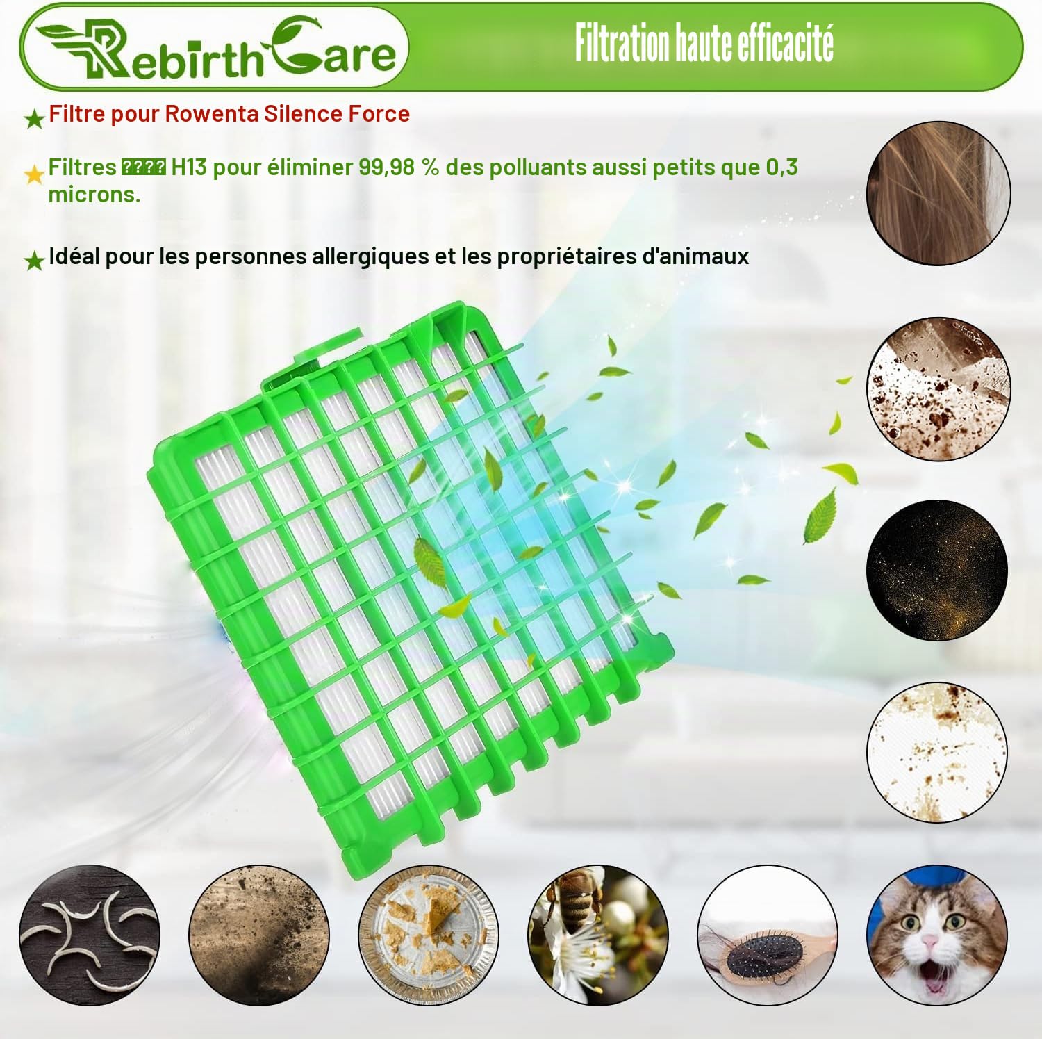 Rebirthcare ZR002901 Filtre pour Rowenta Silence Force Compact | Filtre pour Rowenta Silence Force Extreme, X-Trem Power/XL/Allergy Care RO4323 RO4523 RO5729 RO5762 RO5822 RO5825 RO5911