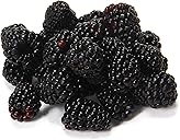 Organic Blackberries, 6 oz