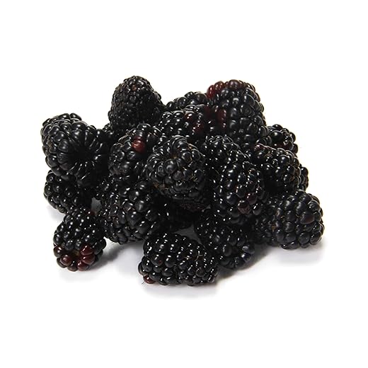Organic Blackberries, 6 oz