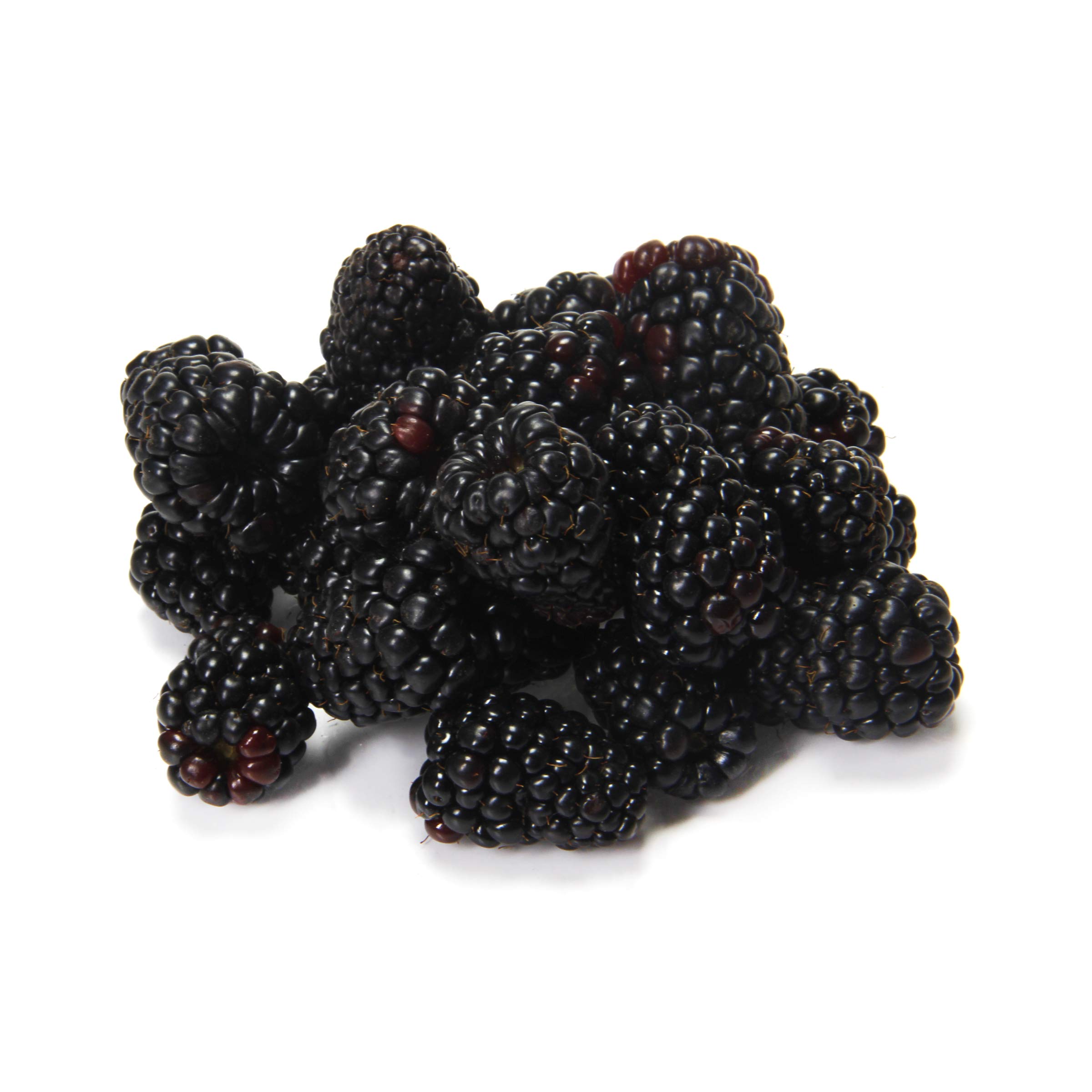 Organic Blackberries, 6 oz
