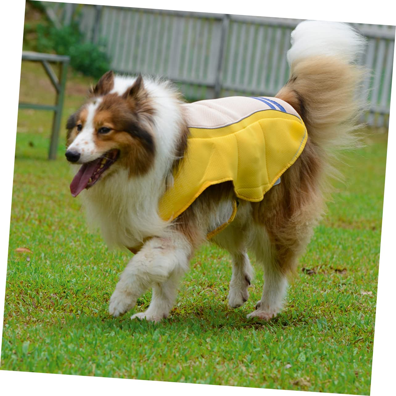 Gilet Rafraîchissant pour Chien Anti-surchauffe Jaune XL Polyester | Usage Quotidien et Défilés D’été, Pratique pour Animaux Domestiques, Coupe Adaptée aux Chiens