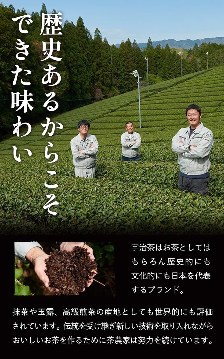 Kyoto Ujitawara Tea Factory Koimaro Matcha 40gx2 Uji Matcha Set Combo 2 can set Japanese — view 4