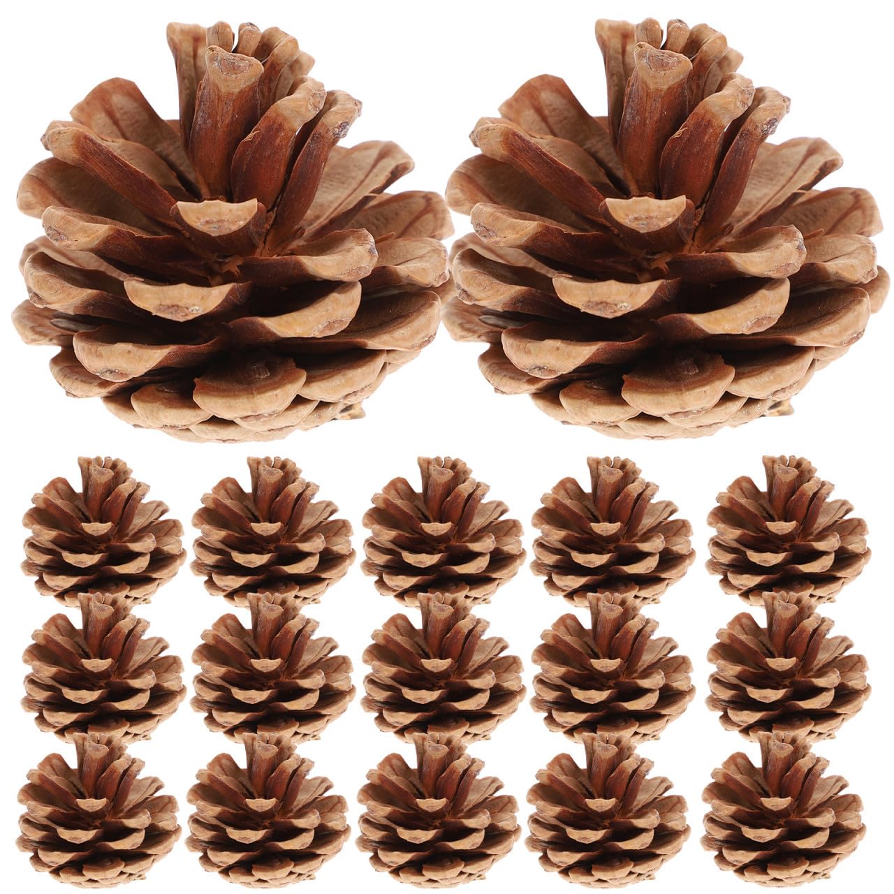 Pommes de pin séchées pour décoration de Noël chaleureuse en famille