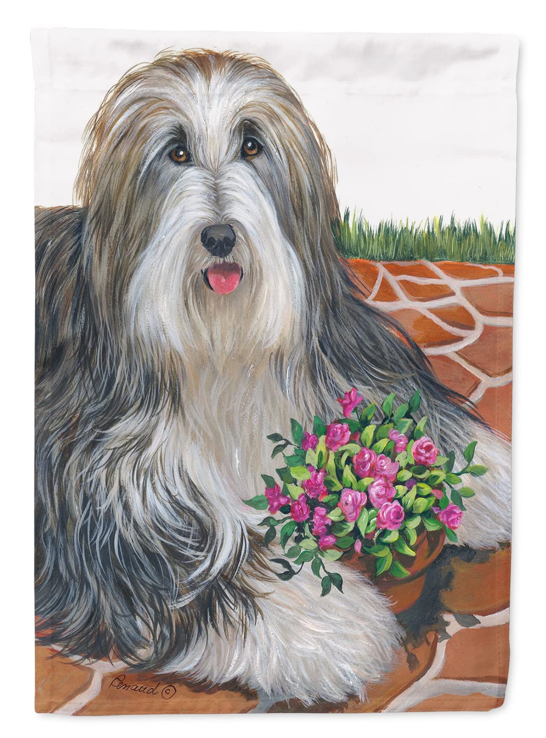 Drapeau Bearded Collie grand modèle résistant aux intempéries pour décoration extérieure