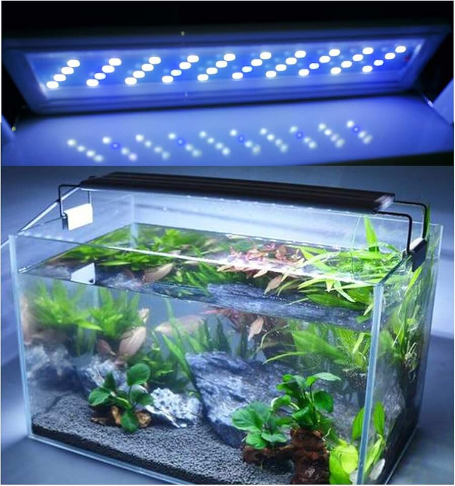 Нанокуб аквариум. Аквариум 27. Аквариум nano cube 20. Шестиугольный аквариум. Аквариум куб 15л.