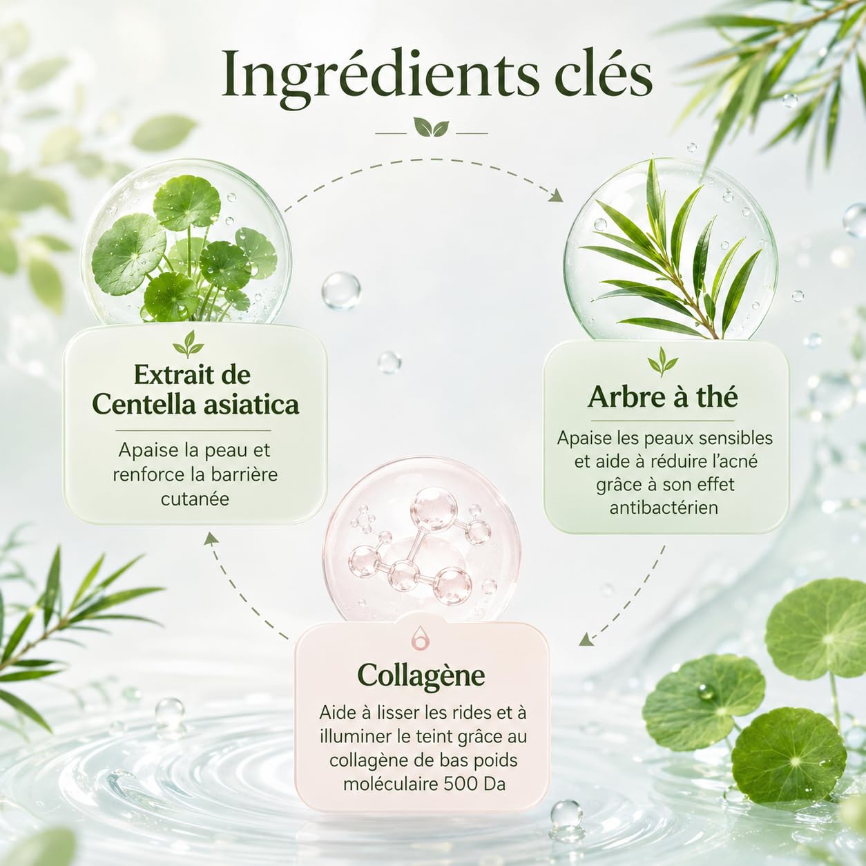 Leaf Cosmetic Masque Purifiant Visage Avec Collagène Et Tea Tree Pour Texture De Peau Affinée (3 boîte – 12 pièces)