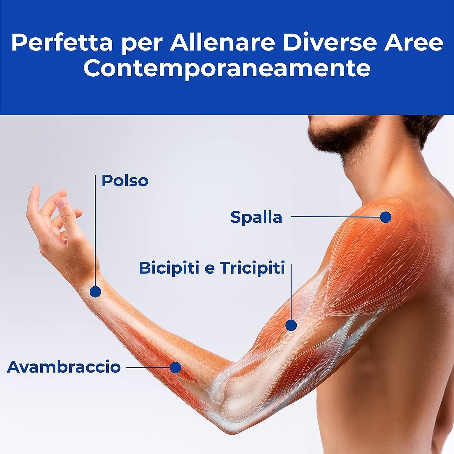 Esercizi Per Ingrossare Gli Avambracci E I Bicipiti - Foto 8