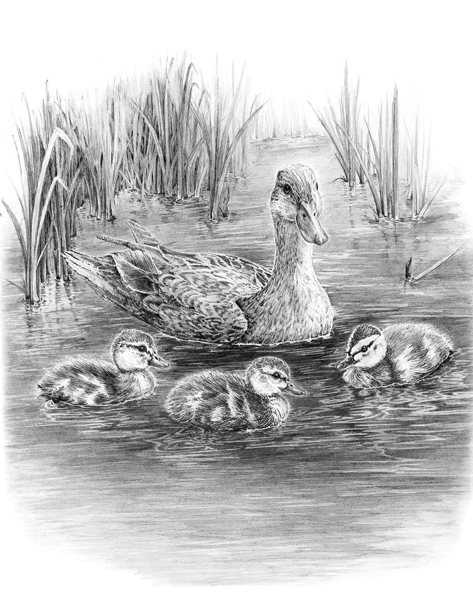 Royal & Langnickel SKTCH – Set Da Disegno Per Imparare A Disegnare Un Cucciolo, Con Matite E Istruzioni Passo Passo