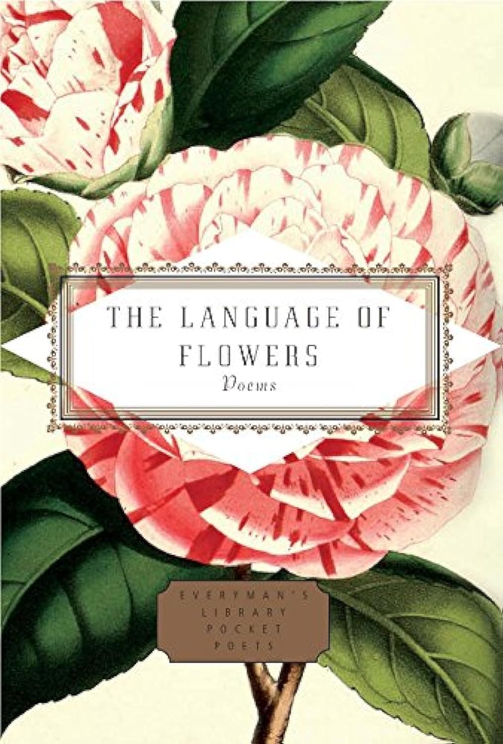 The Language of Flowers: Selected by Jane Holloway by Various (Hardcover, 2017)