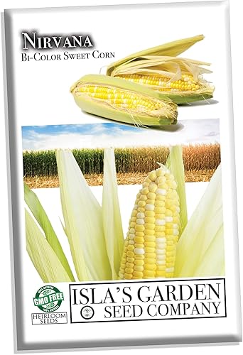 Semillas de maíz bicolor "Nirvana Super Sweet" para plantar, más de 25 semillas de reliquia por paquete, semillas de jardín de Isla (semillas de