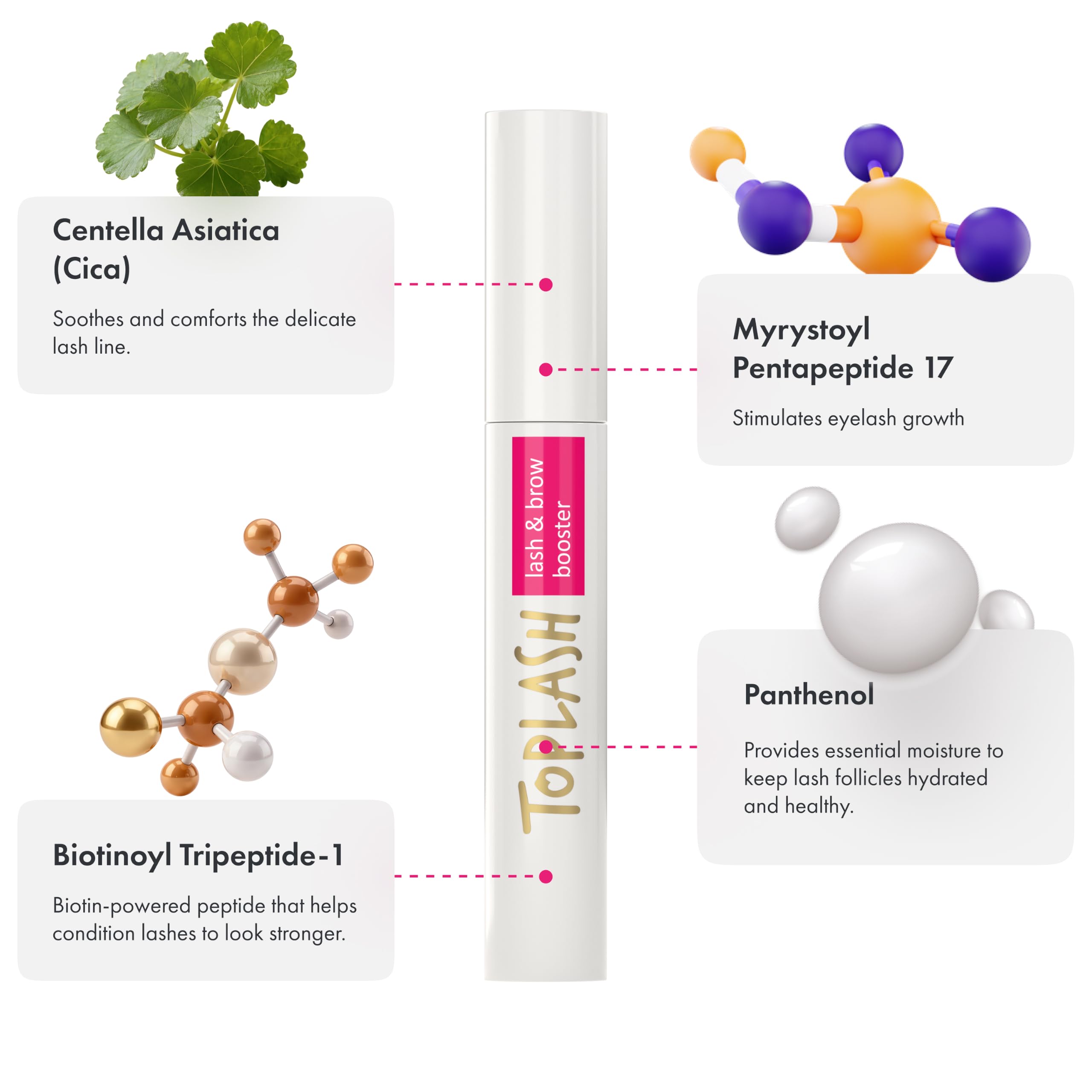 Amazon.com: TOPLASH Eyelash Growth Serum - Innovative Formula for