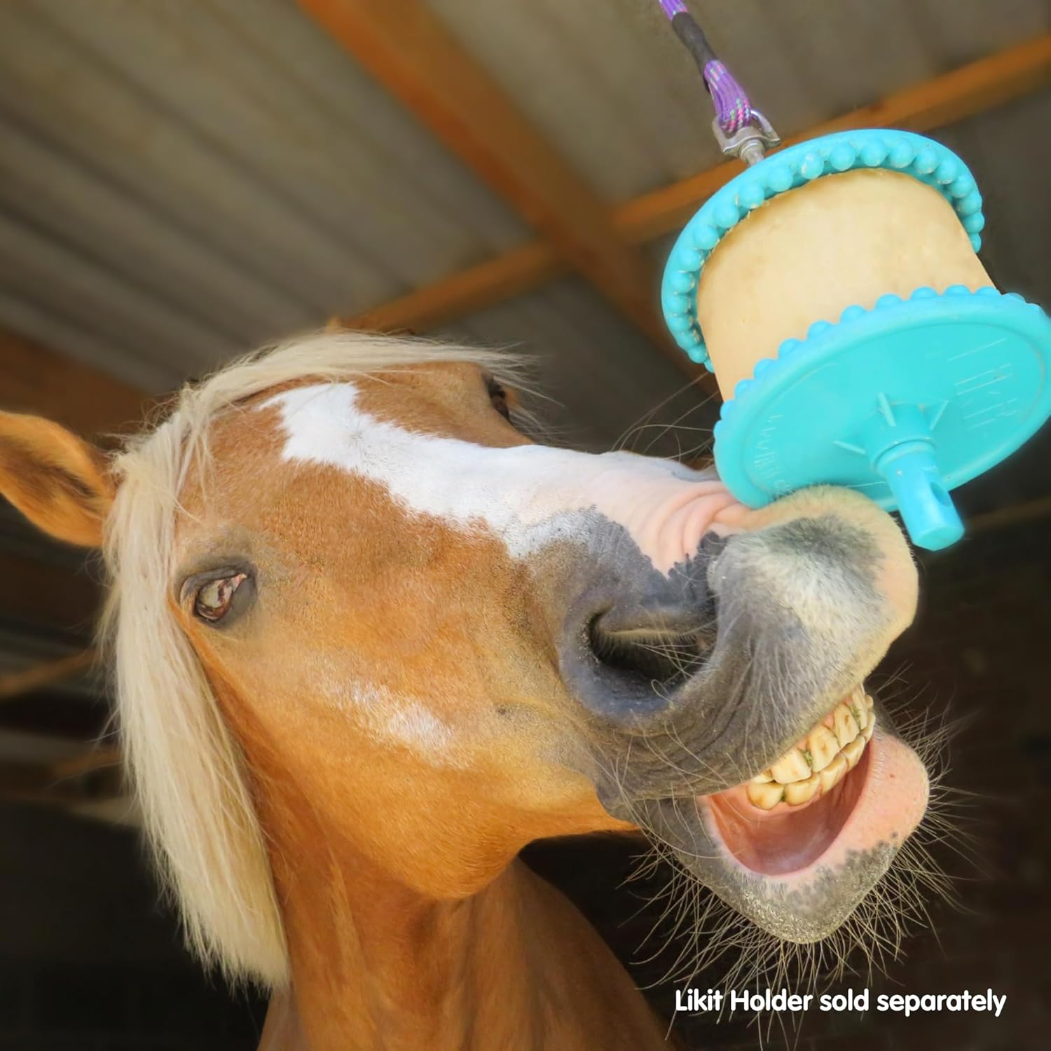 Likit Plastic Holder, Clear, One Size : Pet Supplies