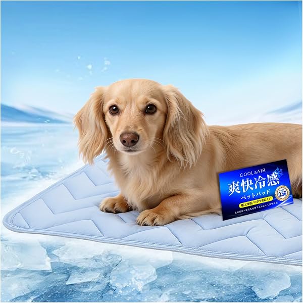【-5℃冷感×ムレ解消テクノロジー】猫 犬 ひんやりマット 夏 Q-MAX0.56 犬 冷感マット【業界初の気孔構造×3Dメッシュ構造でムレにくい】ペットクールマット【光触媒×抗菌防臭防ダニ中わた】犬ベッド 洗える 猫マット 暑さ対策 360°通気 滑り止め付き 小型犬 中型犬 40×50CM ブルー - 1