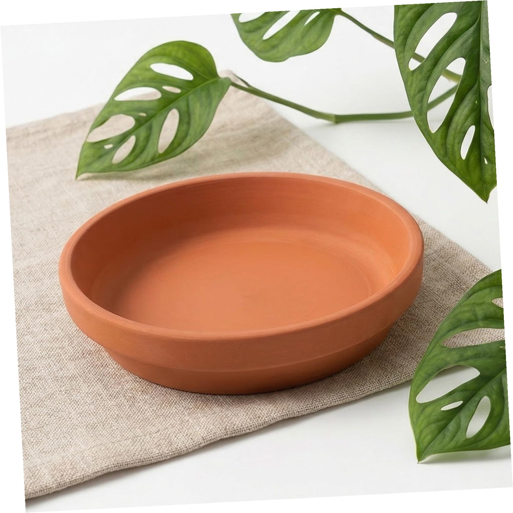 Toddmomy 12 Pezzi Sottovaso Rotondo in Terracotta per Vasi di Piante, Raccoglitore d'Acqua Elegante e Resistente, per Davanzali e Tavoli, Previene Accumulo di umidità