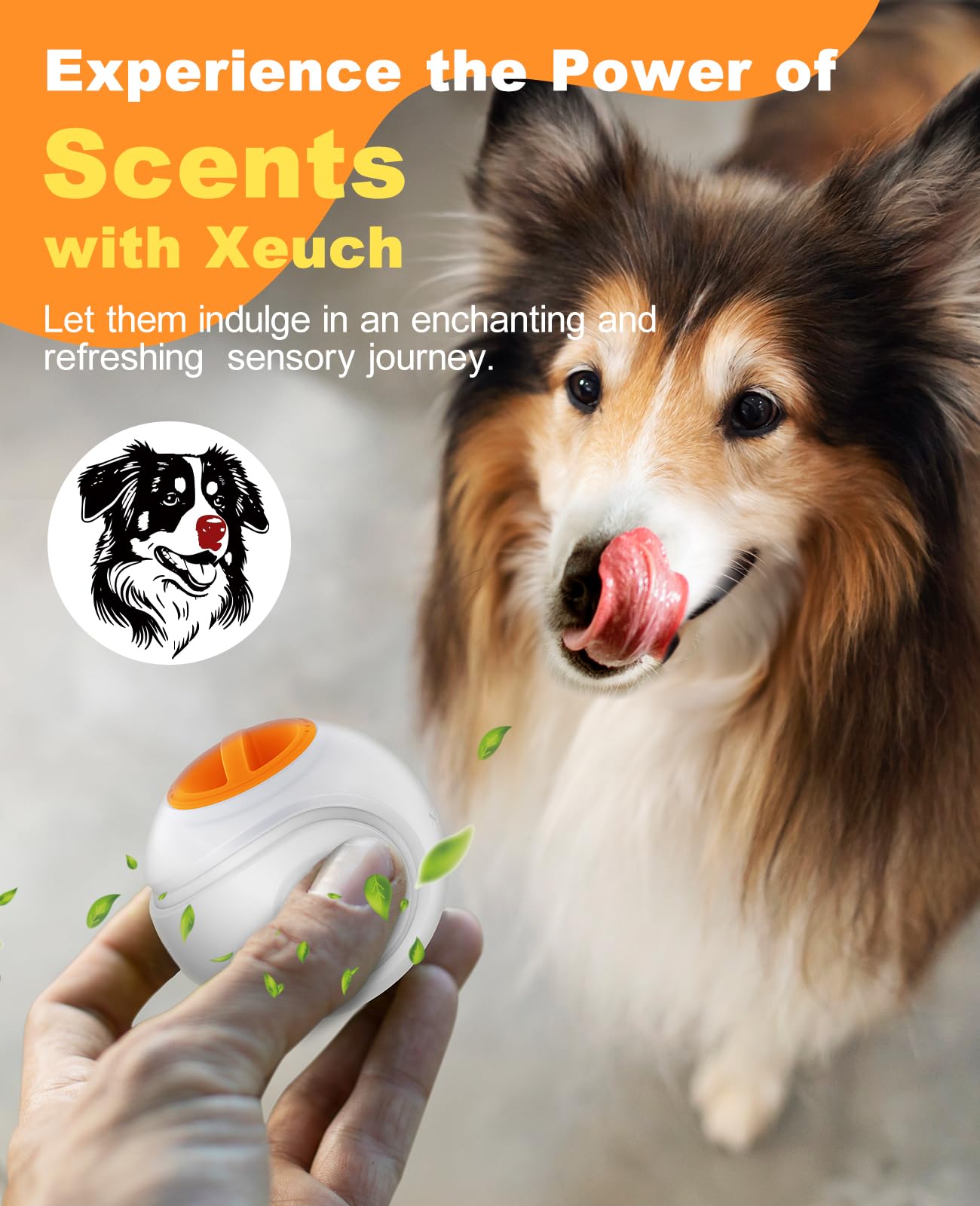 Xeuch Bola LED recargable para perro, juguetes interactivos iluminados para perros, bola de búsqueda duradera activada por rebote, resistente al agua, goma natural, aroma único, 2.5 pulgadas, para