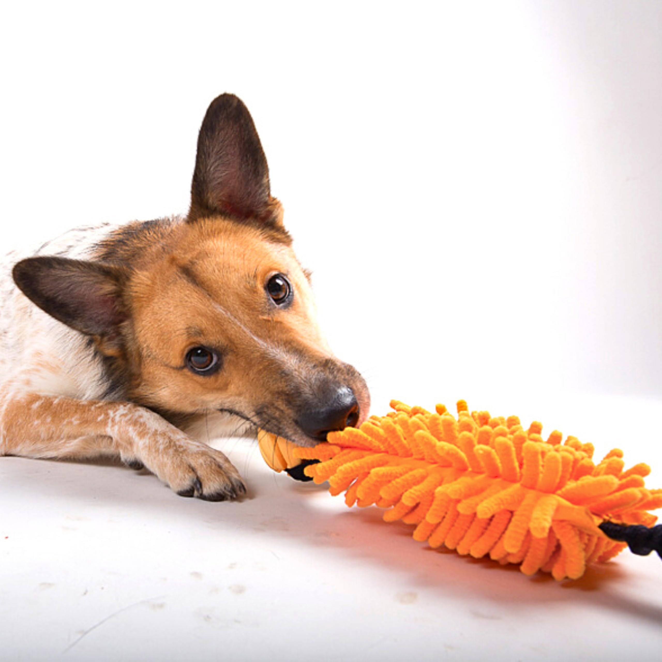 Dingo Set - 2 Hundespielzeuge - Seilstab mit langem Griff & Chaser Zerrspielzeug mit Ball und Griff für Hundetraining, Spielen, Beweglichkeit, Apportieren, Mikrofaser Orange Z30052