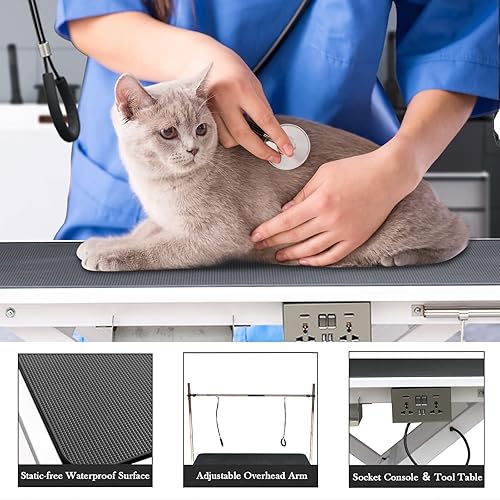 Miniatura 4 de SoarFlash Mesa eléctrica de aseo para perros de 49.6 pulgadas, mesa de aseo eléctrica resistente para perros y gatos, altura ajustable de alta