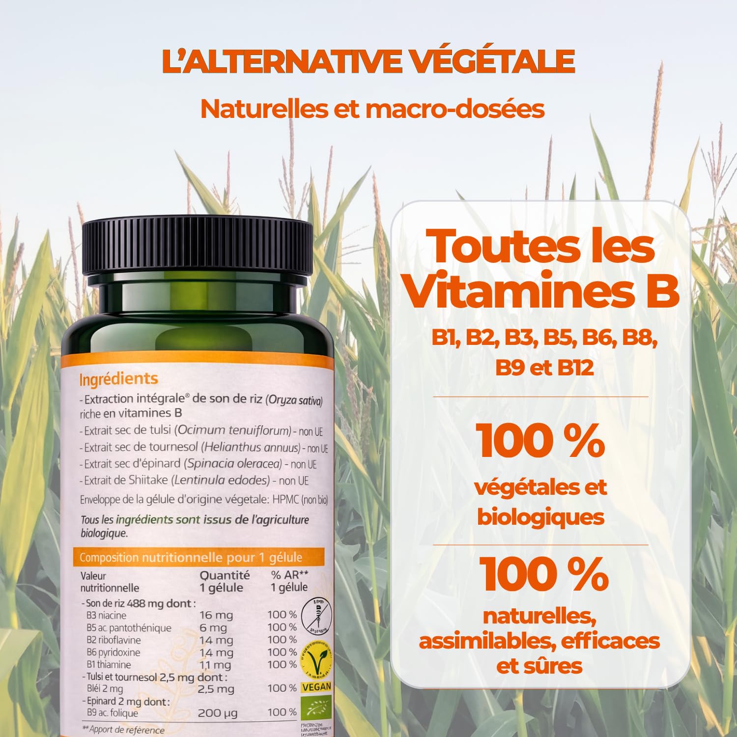Biophénix - Vitamines B Bio 90 Gélules - 100% Naturel à Base de Végétaux - Énergie, Vitalité & Système Nerveux - Vitamines B1, B2, B3, B5, B6, B8, B9 et B12 - Fabriqué en France - Vegan