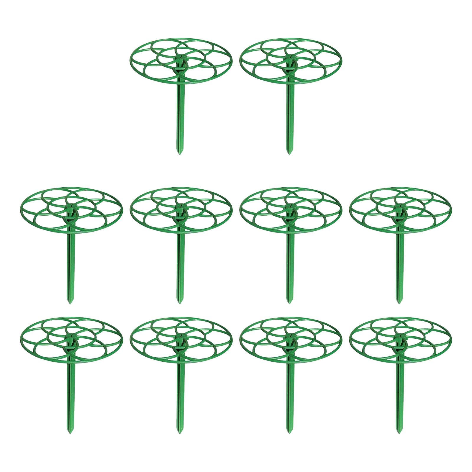 CALANDIS 10 Pieces Plant Topper Holder Support Stakes for Vegetables Roses Houseplant Large | Plant Stands | Garden Dacor| Yard, Garden & Outdoor Living | Home & Garden-image-27