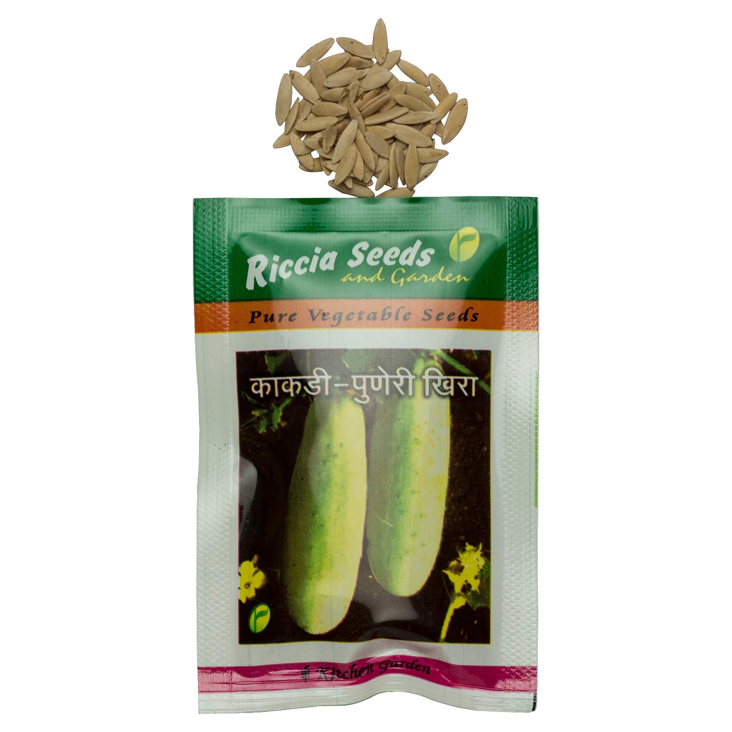 Cucumber (Kakdi) - Puneri Kheera - Non-GMO Vegetable Seeds from Riccia Seeds (10 gram; Approx. 90 seeds per packet) - Official Online Store (B07LBDB9GN) Amazon Price History, Amazon Price Tracker